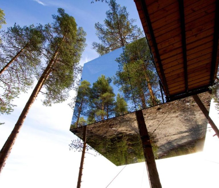 Treehotel: A Unique and Luxurious Way to Sleep in the Woods