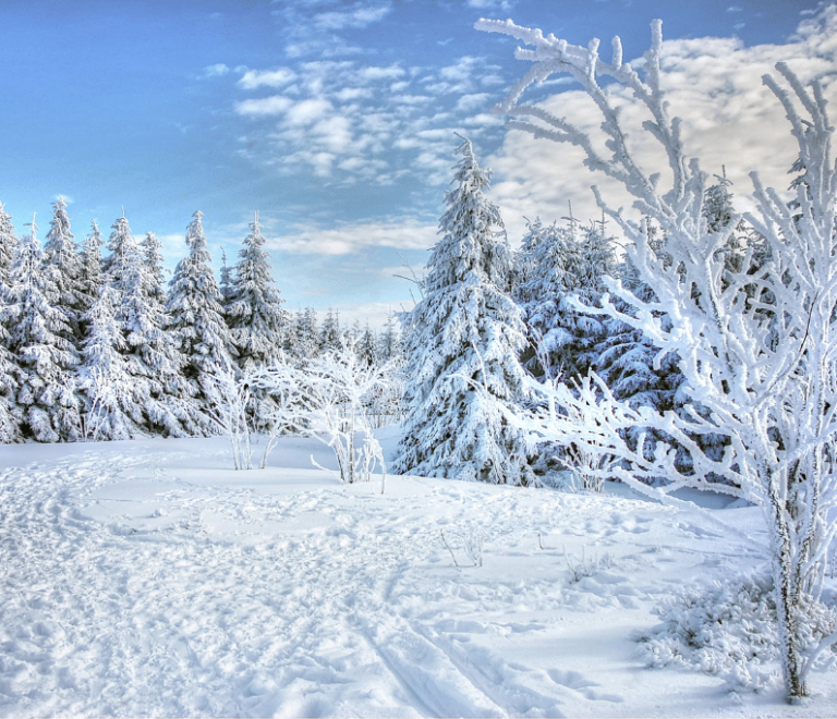 Winter Wanderlust 2023: The Top 10 Stellar Winter Escapes Worldwide