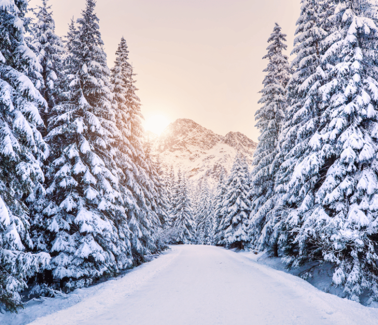 Google Flights Reveals Most-Searched Winter Holiday Spots
