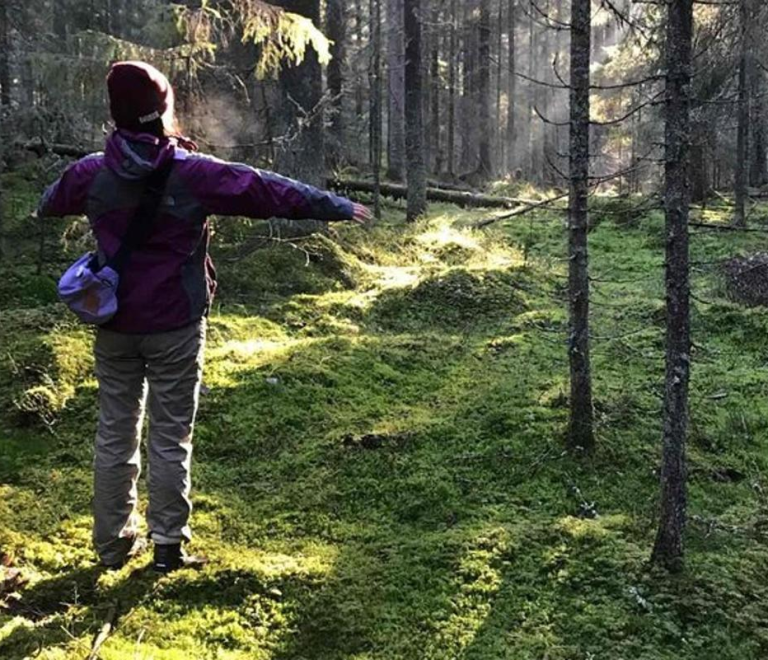 Discover Nature’s Beauty: Hiking Experience in a National Park with Backpacker Helsinki Tour