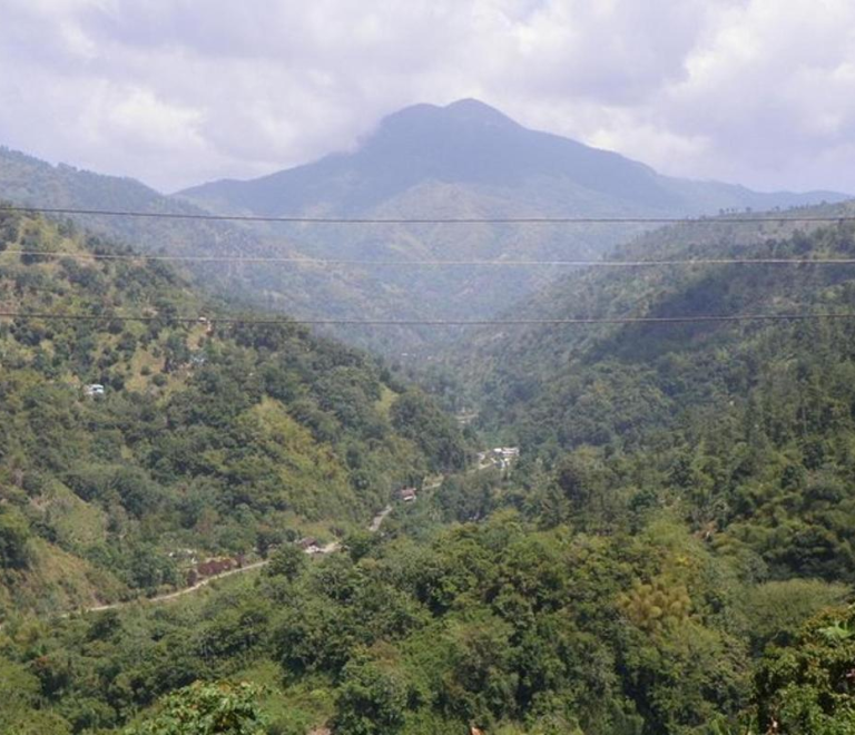 Blue Mountain Tour with Hotel Transportation: Unveiling Nature’s Masterpiece