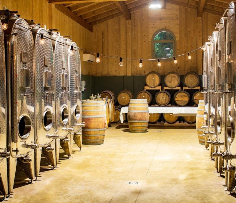 Exploring the Essence of Italy: Organic Wine Tasting and Farm Tour