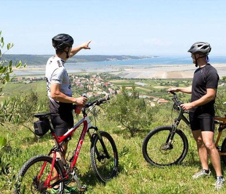 Wine & Bike: A Half-Day Tour Through Istria’s Enchanting Vineyards