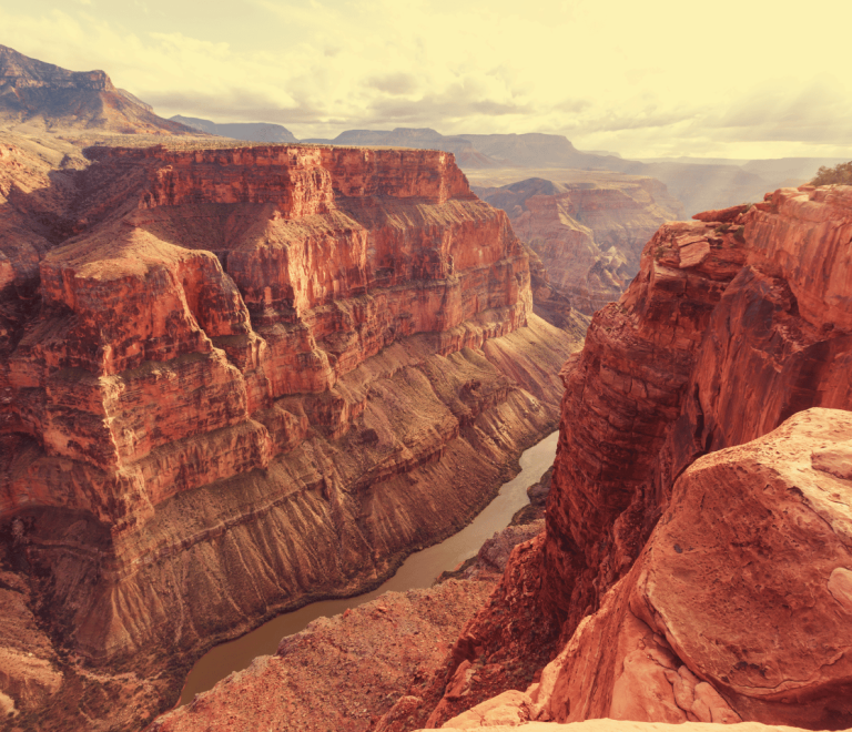 Leave Your Love Behind, Not Padlocks: Grand Canyon Asks Visitors to Stop Leaving ‘Love Locks’ to Protect Wildlife